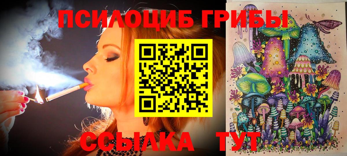 дарнет шоп  Псилоцибиновые грибы Magic Shrooms  Вход с VPN  Тверь 