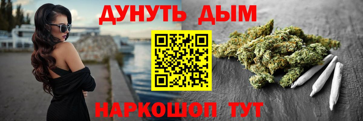Канабис сатива Тверь